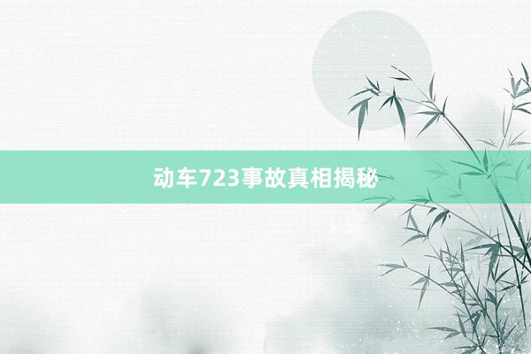 动车723事故真相揭秘