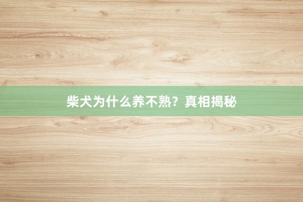 柴犬为什么养不熟？真相揭秘